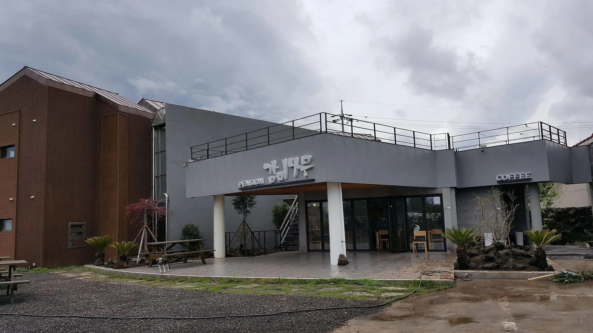 Gambi Namu Pension 済州市